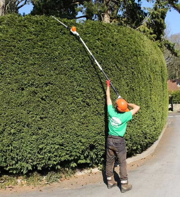 Hedge Trimming