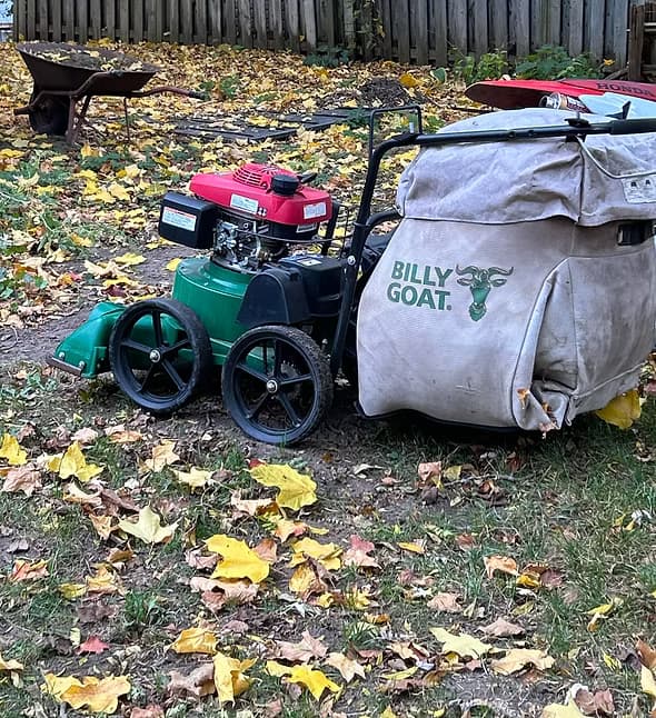 Spring and Fall Cleanup