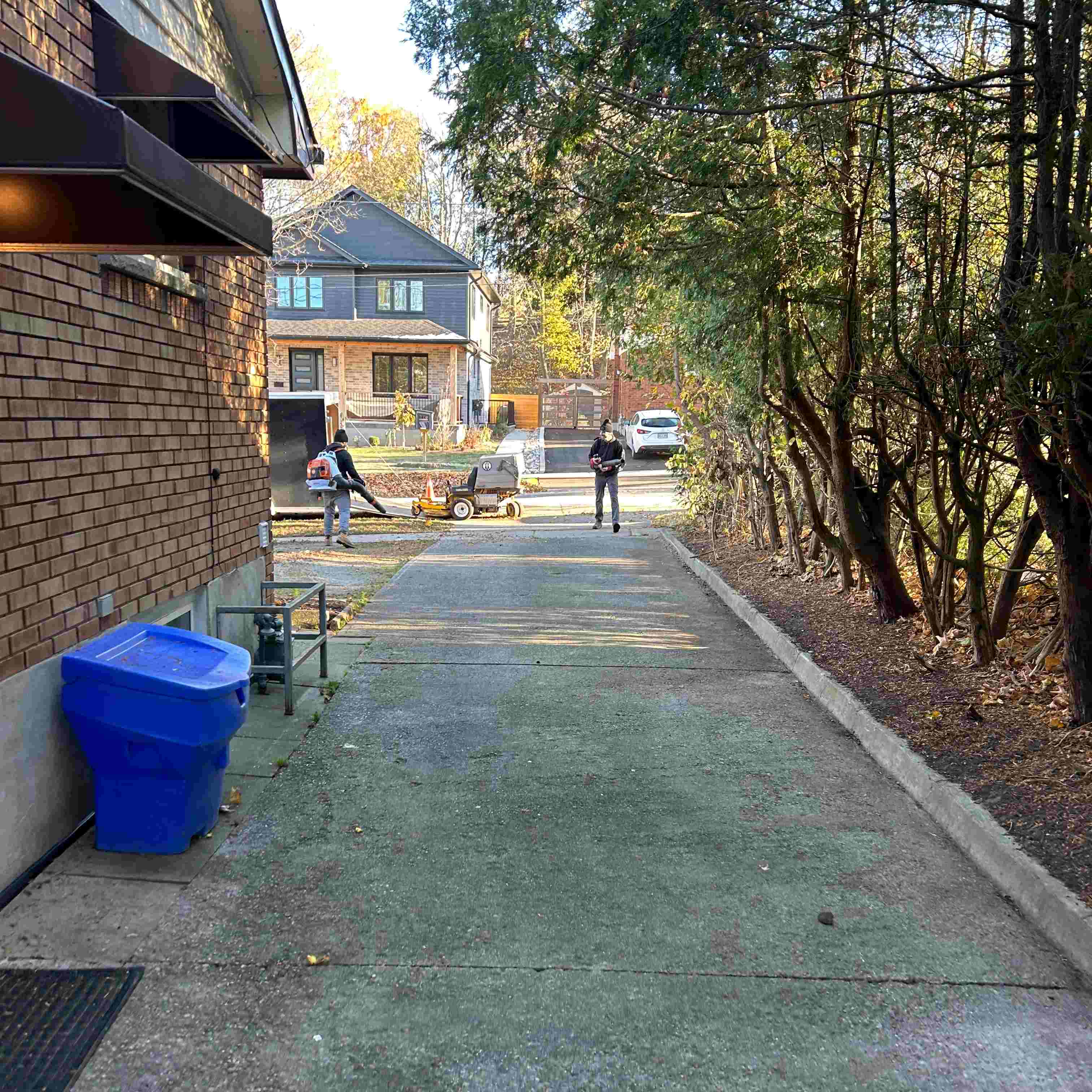 Spring and Fall Cleanup